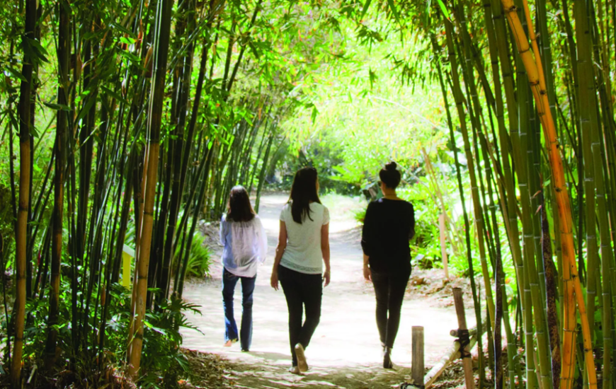 San Diego Botanic Garden Exhibition