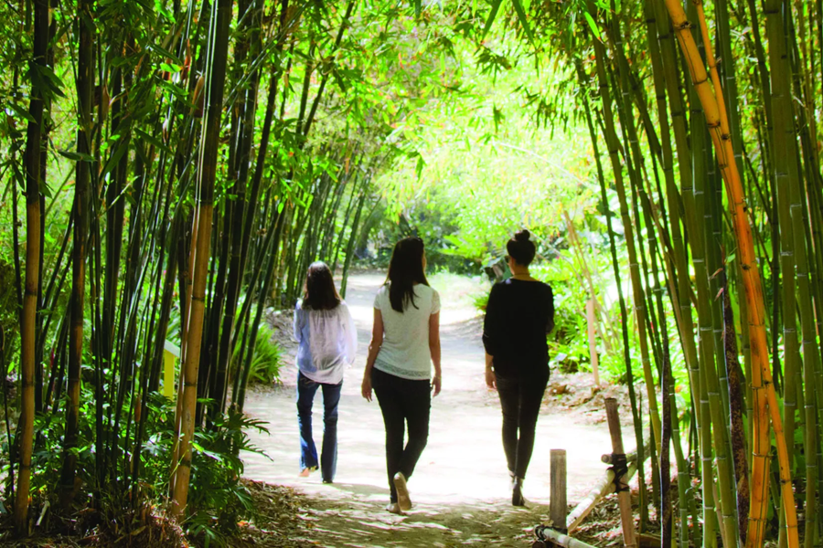 San Diego Botanic Garden Exhibit