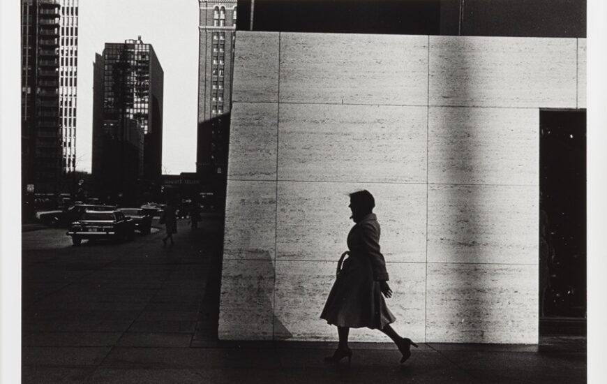 SDMA Photography Exhibitions
