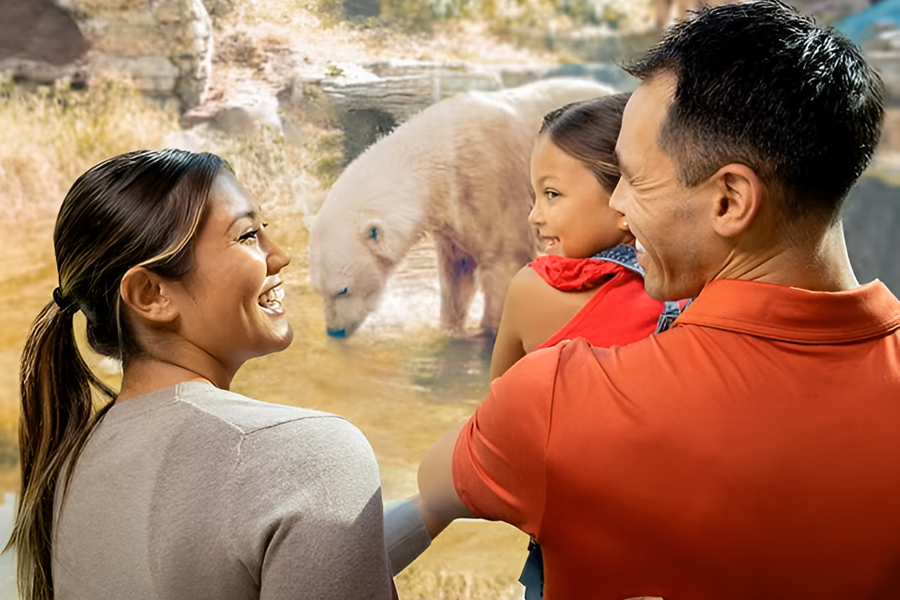 san diego zoo lunar new year