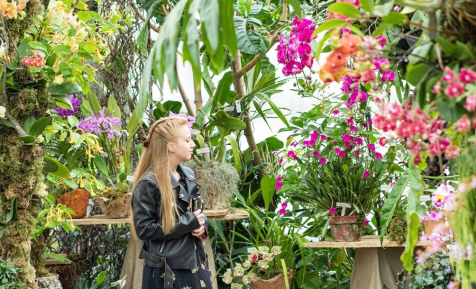 World Of Orchids At The San Diego Botanic Gardens