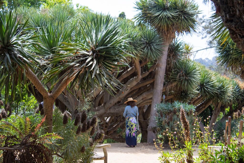San Diego Botanic Garden