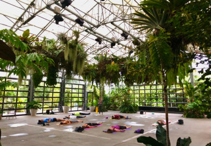 Conservatory yoga at San Diego Botanic Garden