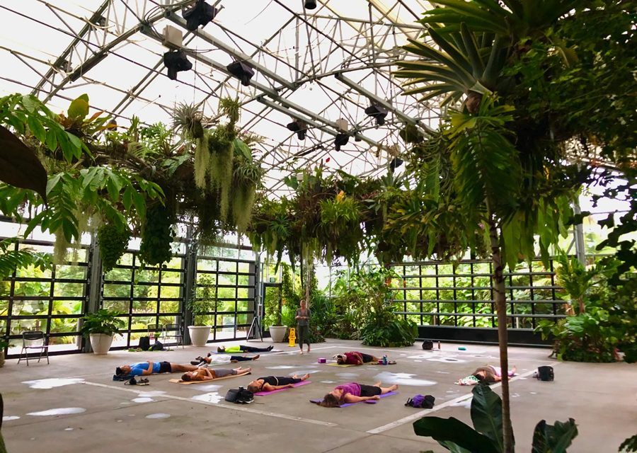 Conservatory yoga at San Diego Botanic Garden