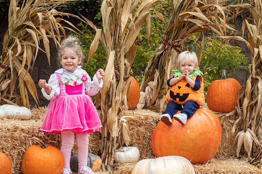 San Diego Botanic Garden Fall Festival