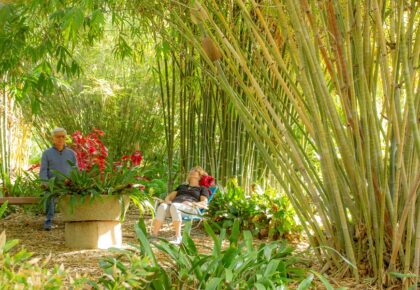 Nature Bathing Workshop At San Diego Botanic Garden
