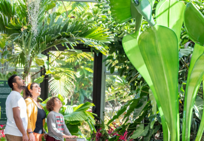 Savage Gardens Exhibition at San Diego Botanic Garden