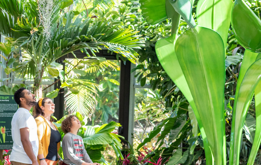 Savage Gardens Exhibition at San Diego Botanic Garden