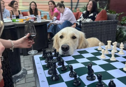 San Diego Chess and Social Pure Pawsh