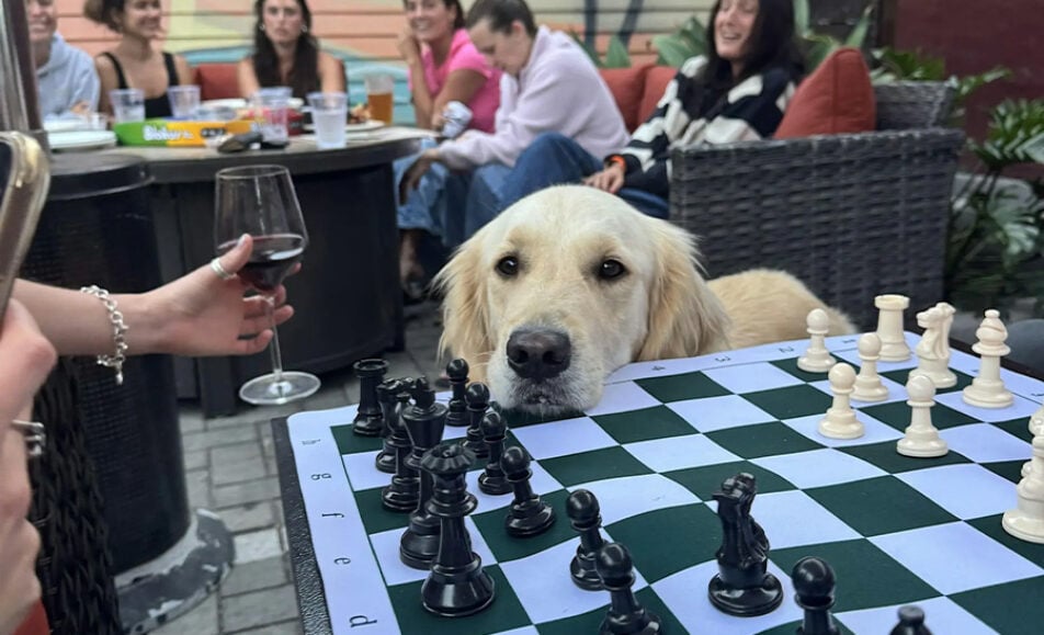 San Diego Chess and Social Pure Pawsh