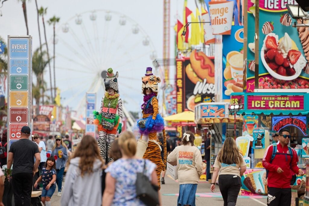 san diego county fair