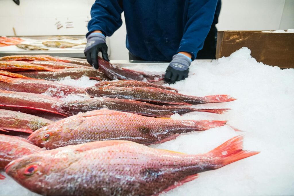 San Diego's local fishing community