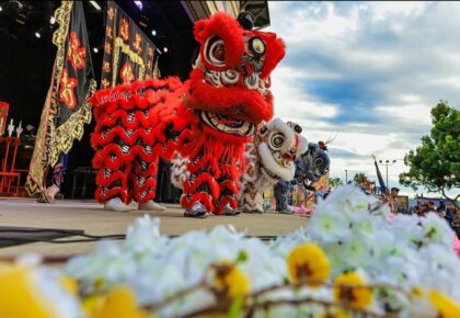 San Diego Midnight Lion Dance Show