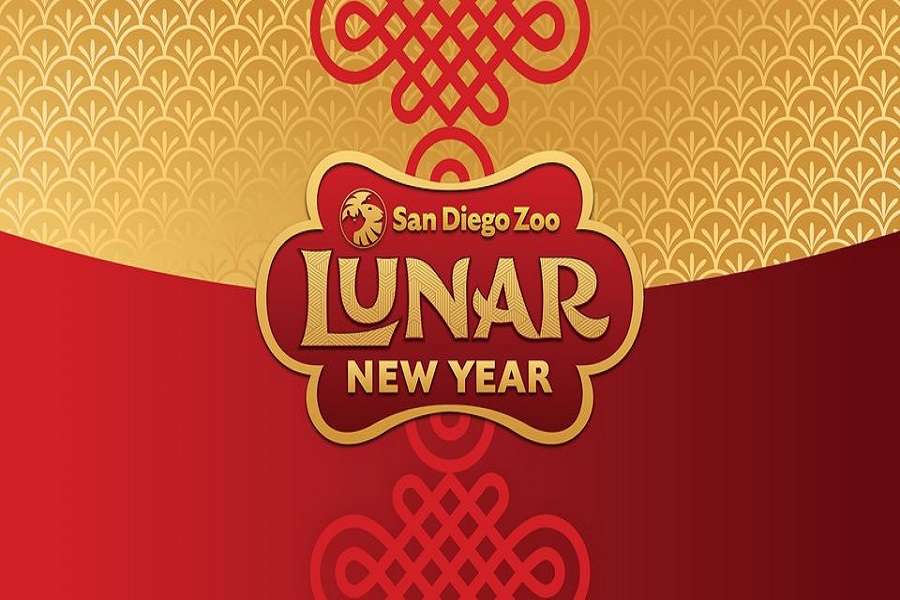 san diego zoo lunar new year