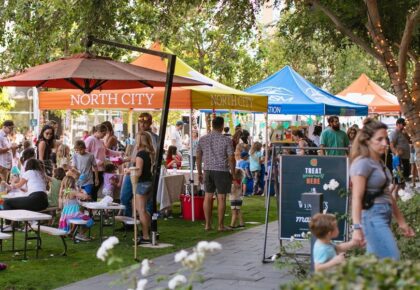 San Marcos Spring Fling & Street Fair