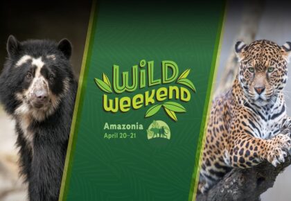 Wild Weekend: Amazonia at San Diego Zoo for Earth Day