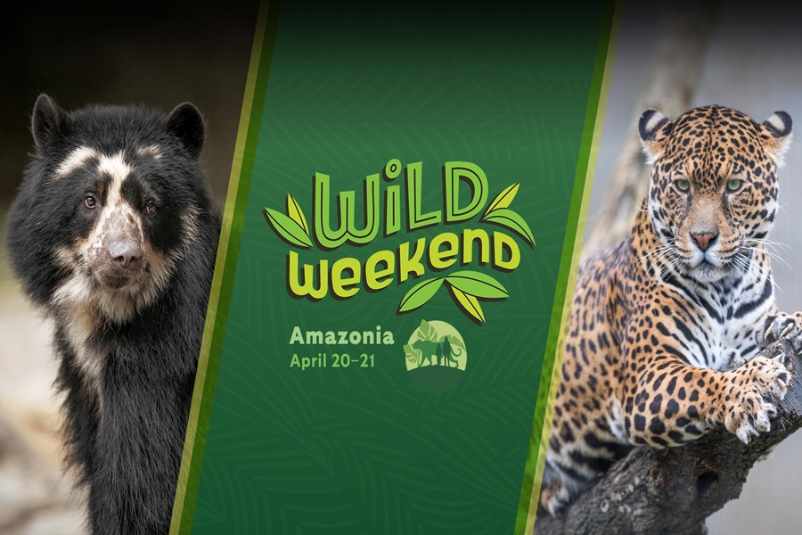 Wild Weekend: Amazonia at San Diego Zoo for Earth Day