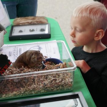 a boy looking at an animal