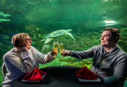 Underwater Valentine’s Dinner at SeaWorld San Diego