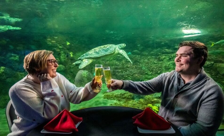 Underwater Valentine’s Dinner at SeaWorld San Diego