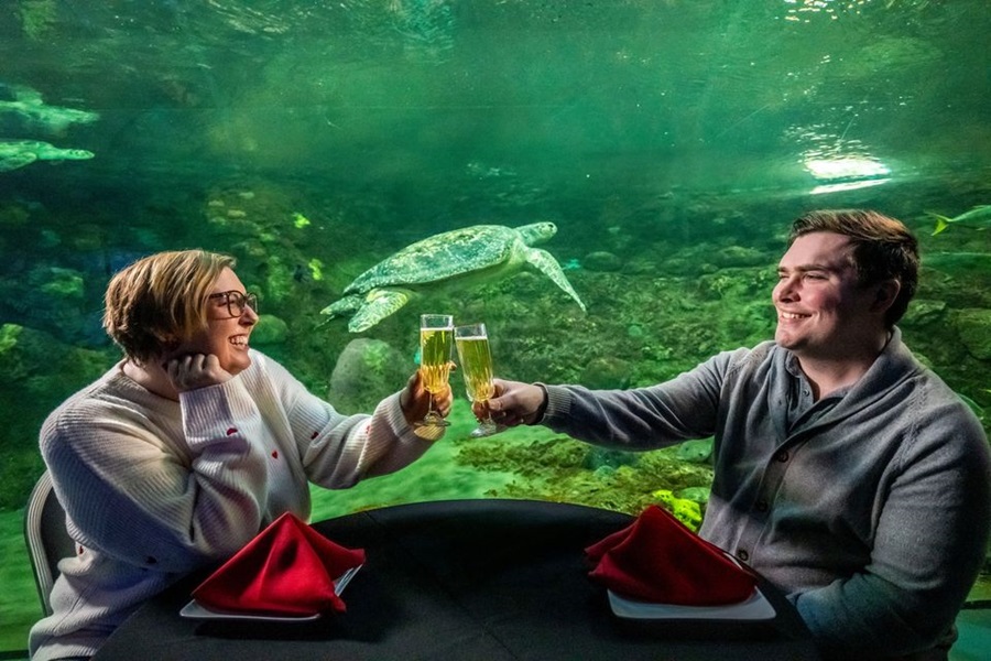 Underwater Valentine’s Dinner at SeaWorld San Diego