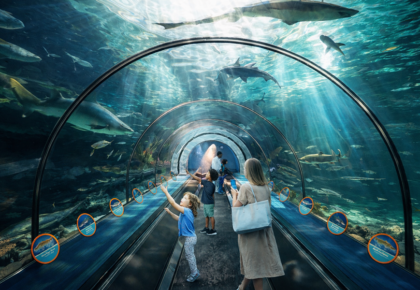 Enjoy New and Exciting Events at SeaWorld Summer Spectacular