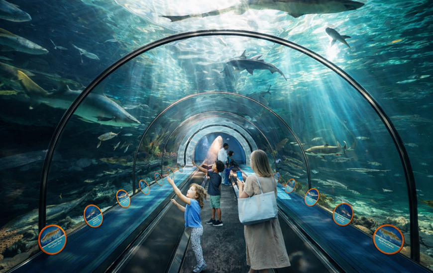 Enjoy New and Exciting Events at SeaWorld Summer Spectacular