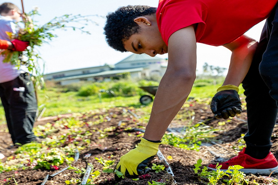 Second Chance Seeks Community Support To Deliver Produce To Those In Need