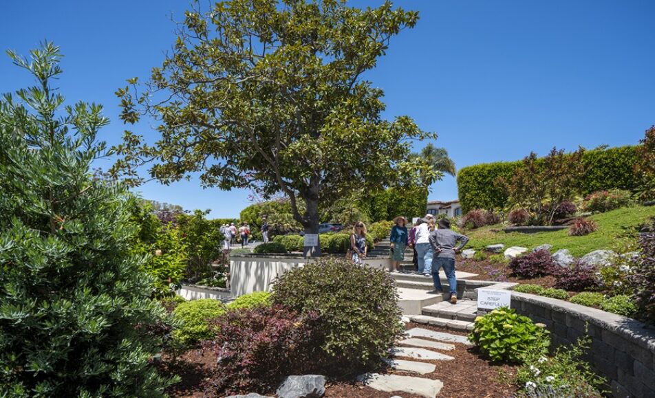 Guests Exploring the Secret Garden Tour of La Jolla