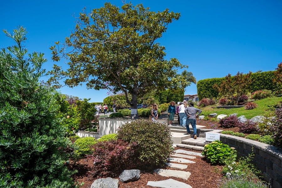 Guests Exploring the Secret Garden Tour of La Jolla