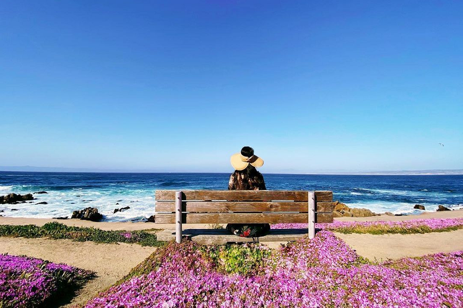 Monterey County, California Offers Spring Getaways For 10 Types Of Travelers