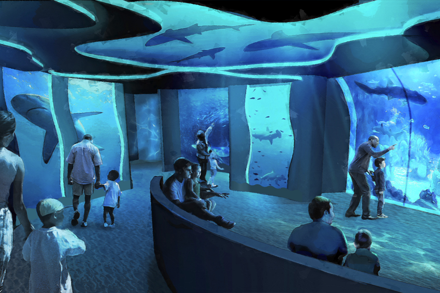 SeaWorld San Diego hark Encounter 2026