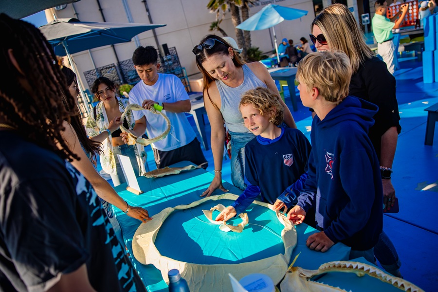 Families at Hands on Shark Exhibit at Shark Summer