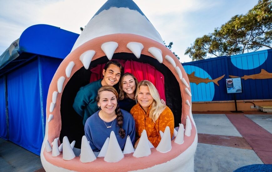 Families Enjoying Shark Summer at Birch Aquarium