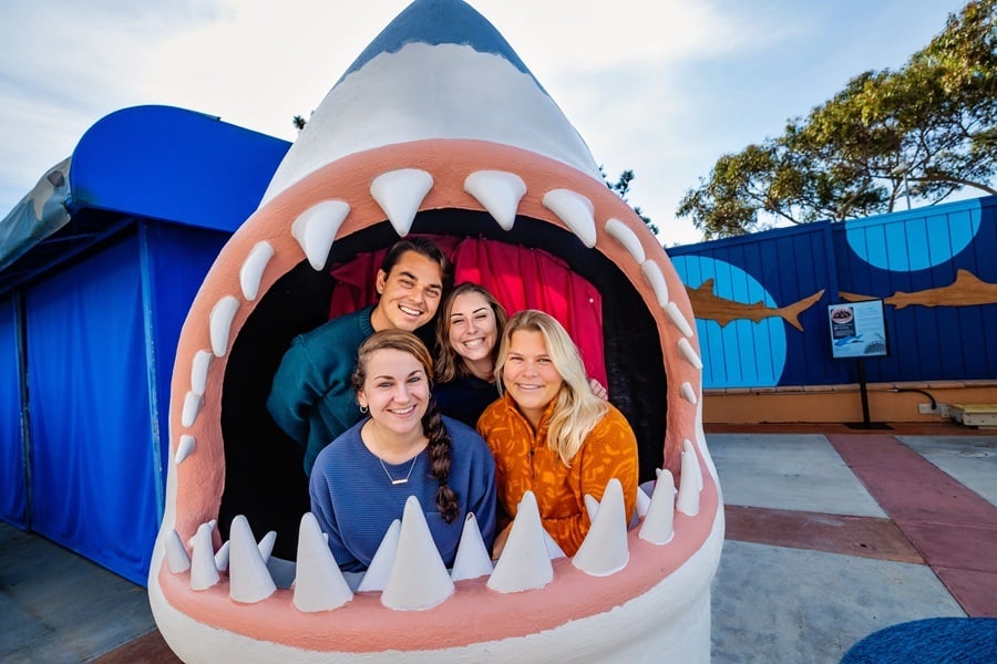 Families Enjoying Shark Summer at Birch Aquarium