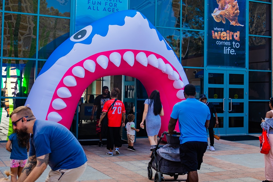 Families Enjoying Shark Summer at Birch Aquarium