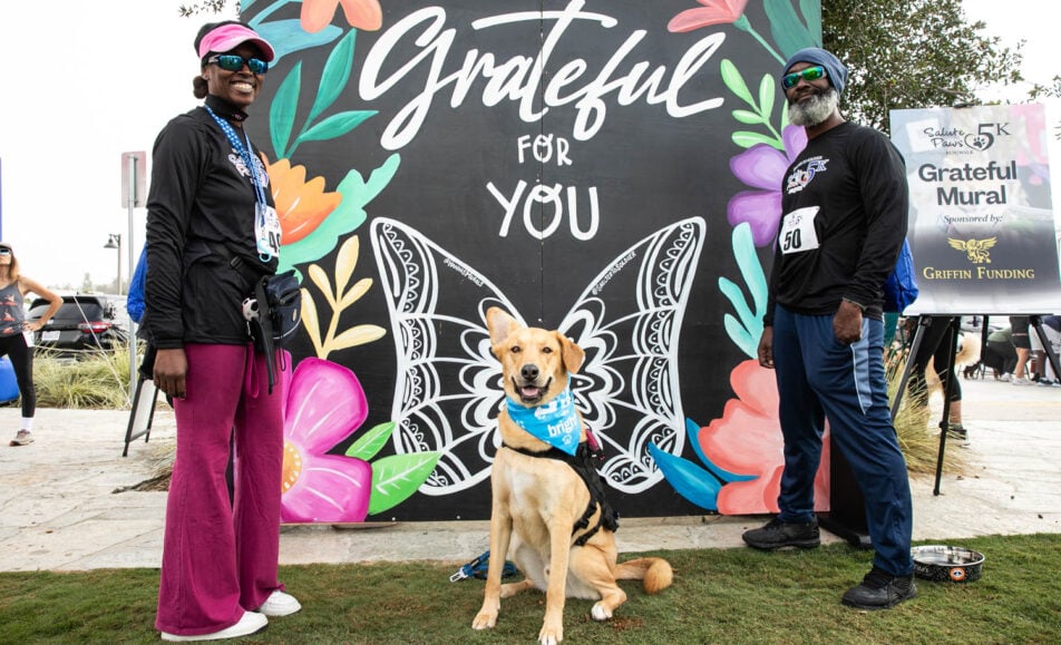 Dogs and owners at the Salute to Paws 5K and Gratitude Festival