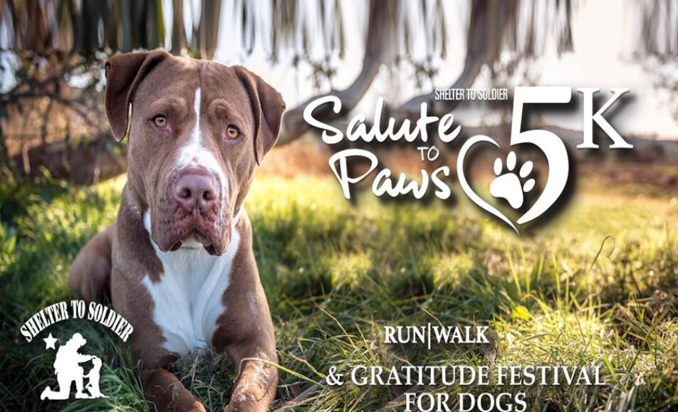 Salute to Paws 5K and Gratitude Festival for Dogs