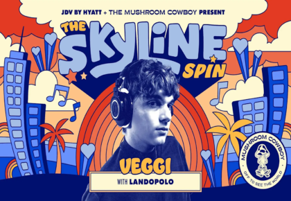 the skyline spin oceanside beach