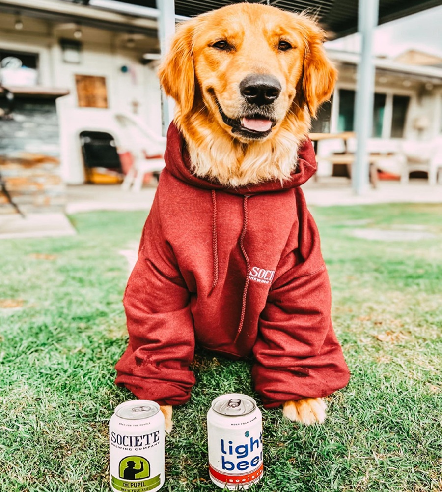Societe Brewing