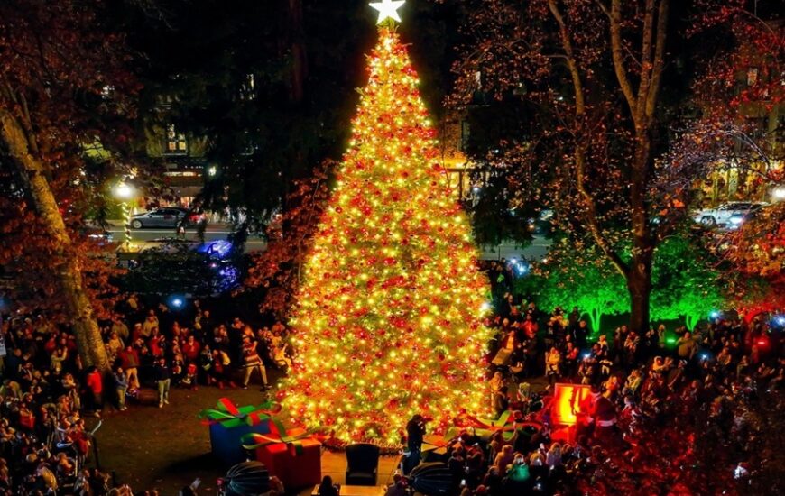 Healdsburg's A Season to Sparkle