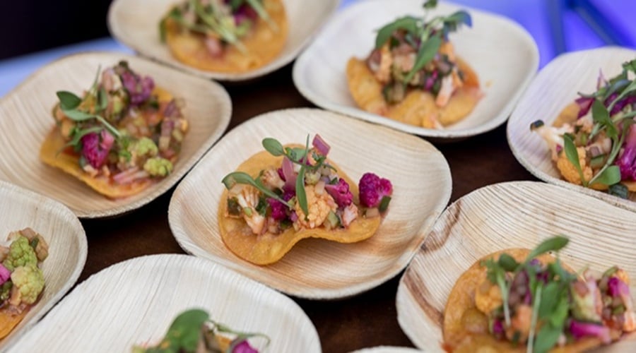 sdma taco party