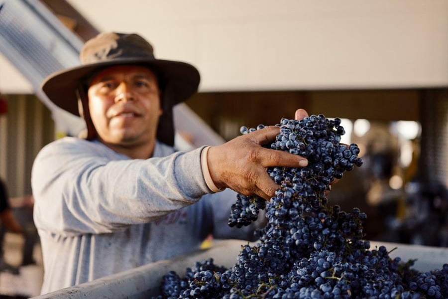 Temecula Wine country