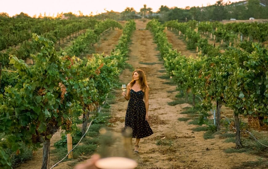 a woman walking in the middle of a vineyard