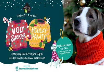 Prep The Pups As The Animal Pad Brings Back Annual Ugly Sweater Holiday Pawty