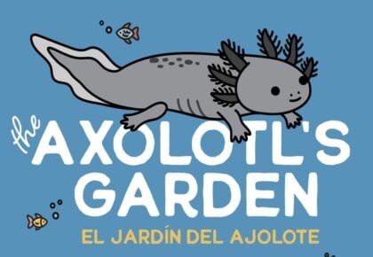 Birch Aquarium Axolotl's Garden