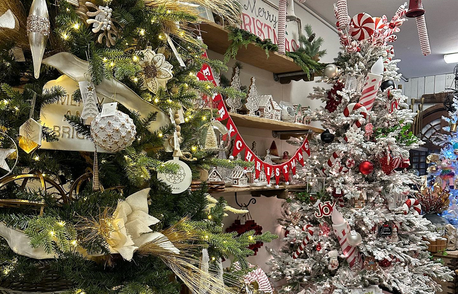The Barn Redefined Hosts Annual Christmas At The Barn