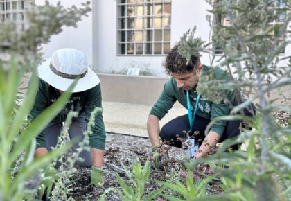 native plants on San Diego’s ecosystems