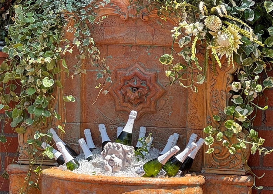bottles of champagne