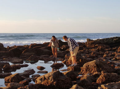 An End of the Year Adventure: Tidepooling at Dike Rock